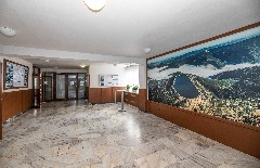IMG_7682.jpg