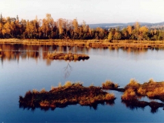 dfa7cee7e9e007be90c8d803b57db10d.jpg