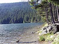 ae902709d4280c038a6d0974e7dd08aa.jpg