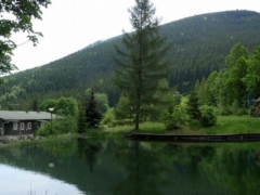 fa0e0afa1e591e6a3bdee1ed9376b73a.jpg