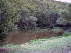 3658e3beefffb42d6f28b972f3aaf2ad.jpg