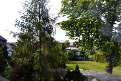 99554240.jpg