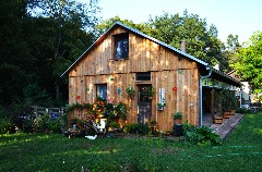 DSC_0375.JPG