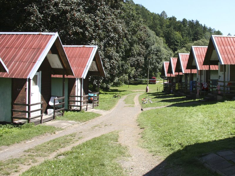 img00007.jpg