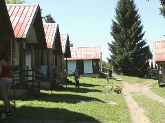 img00008.jpg