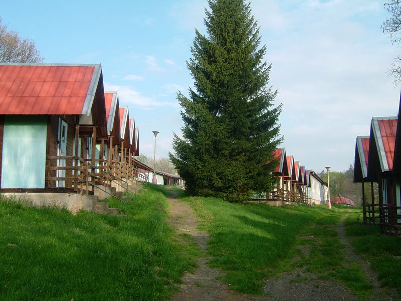 img00010.jpg
