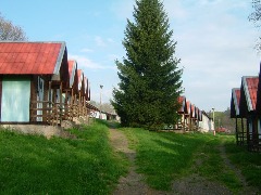 img00010.jpg