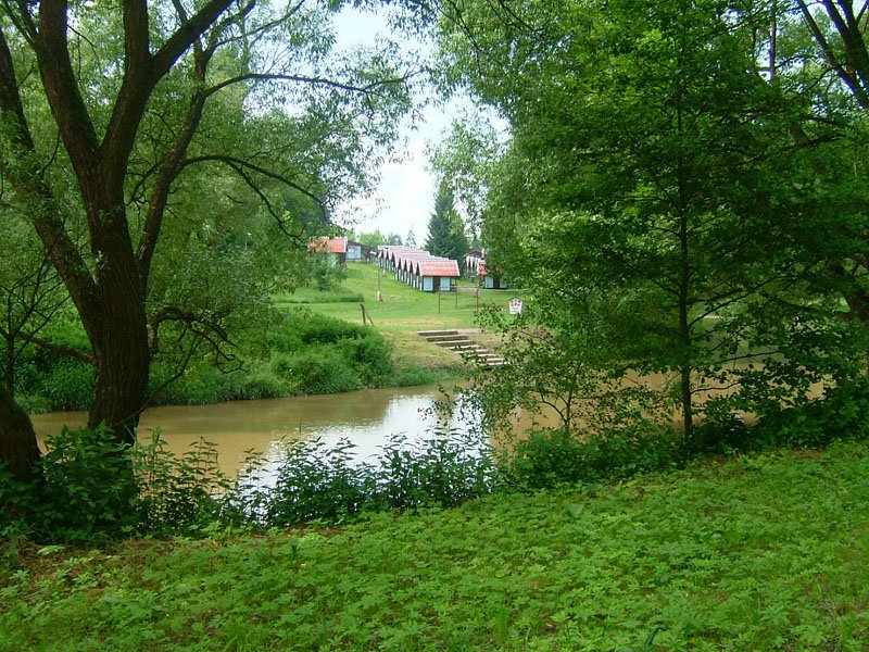 img00014.jpg