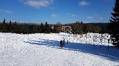 20180206_124631.jpg