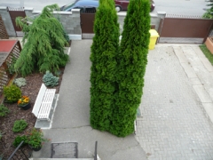 fcc6f998876dfaaa48e845857e62277b.jpg
