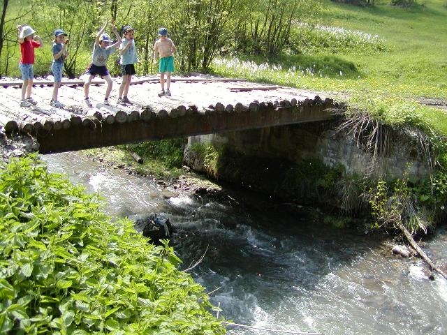 b7ac20a54ff9737e57878a039fc5187c.jpg
